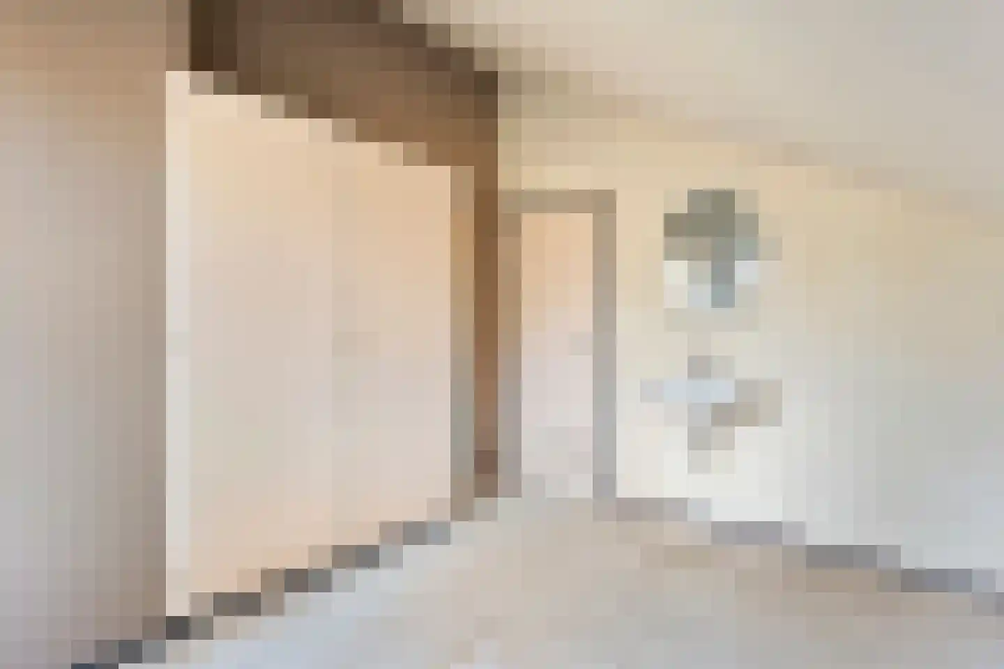 Wilgenkamp 46 Losser thumbnail 20
