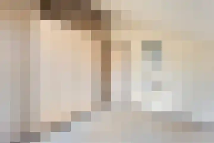 Wilgenkamp 46 Losser thumbnail 20