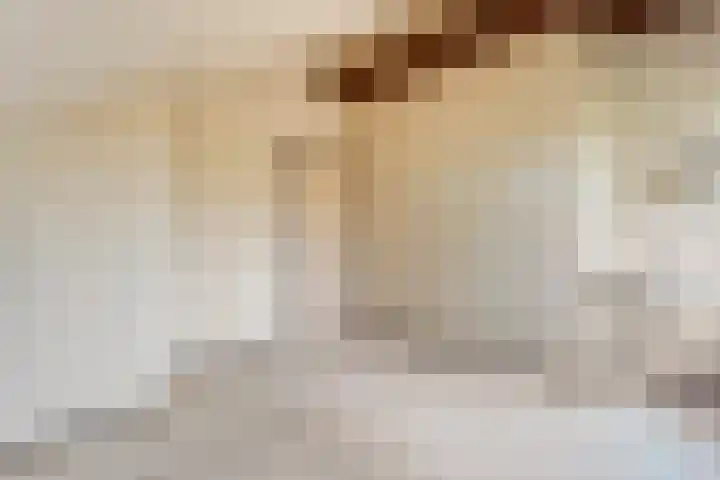Wilgenkamp 46 Losser thumbnail 22