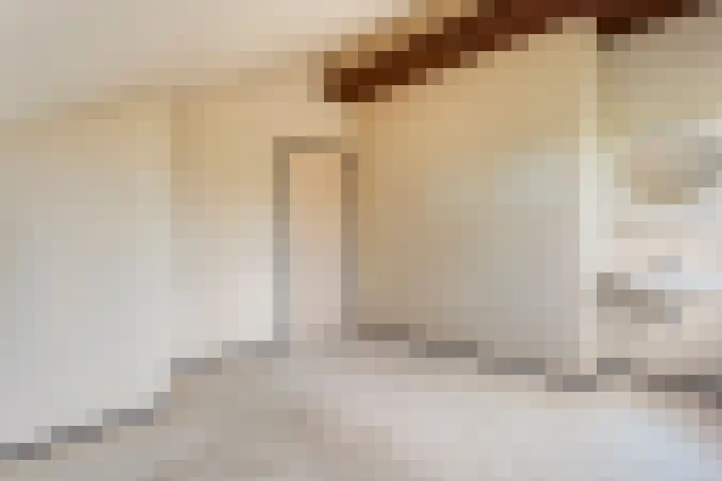 Wilgenkamp 46 Losser thumbnail 22