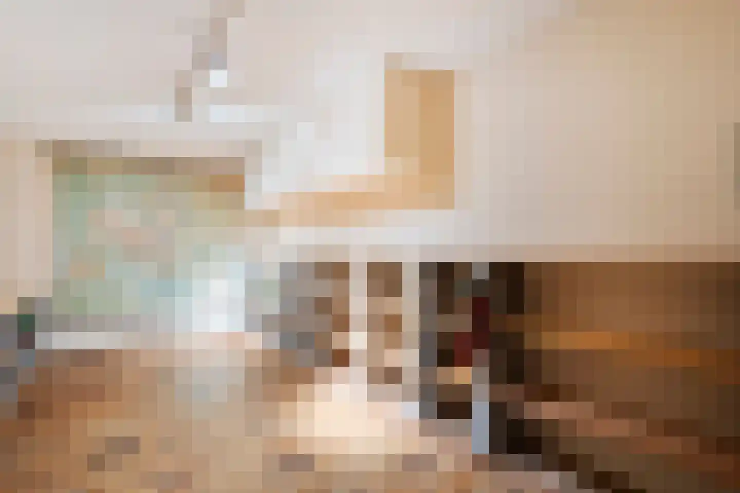 Wilgenkamp 46 Losser thumbnail 28