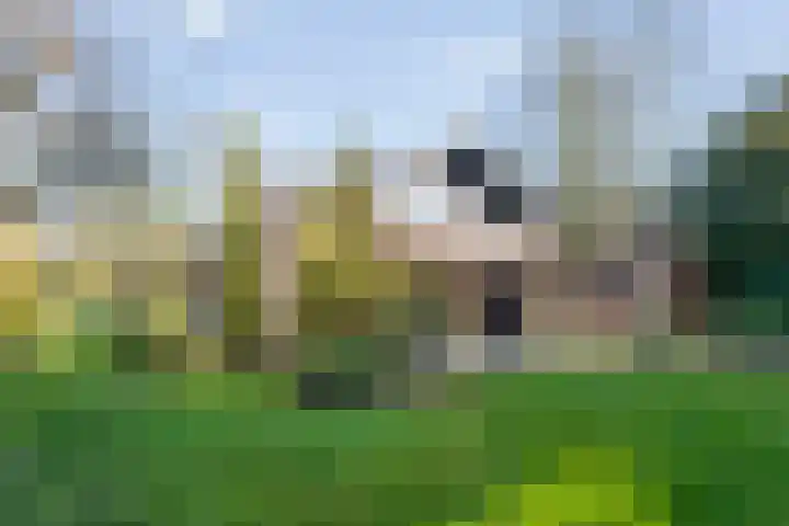 Wilgenkamp 46 Losser thumbnail 30