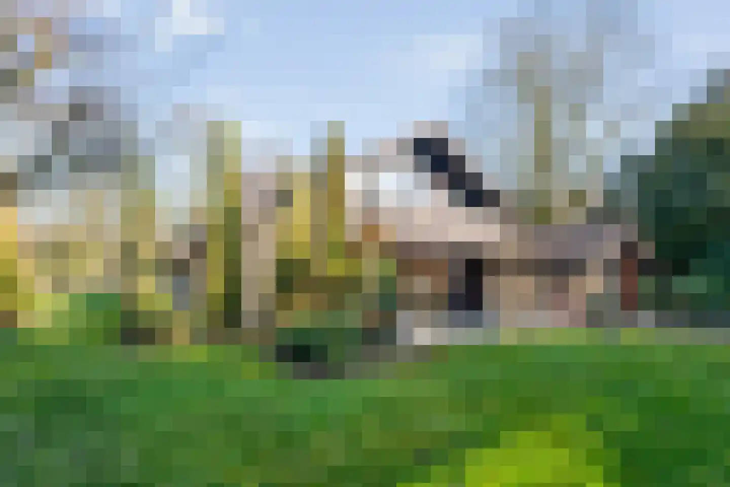 Wilgenkamp 46 Losser thumbnail 30