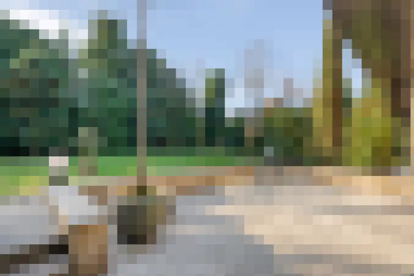 Wilgenkamp 46 Losser thumbnail 31