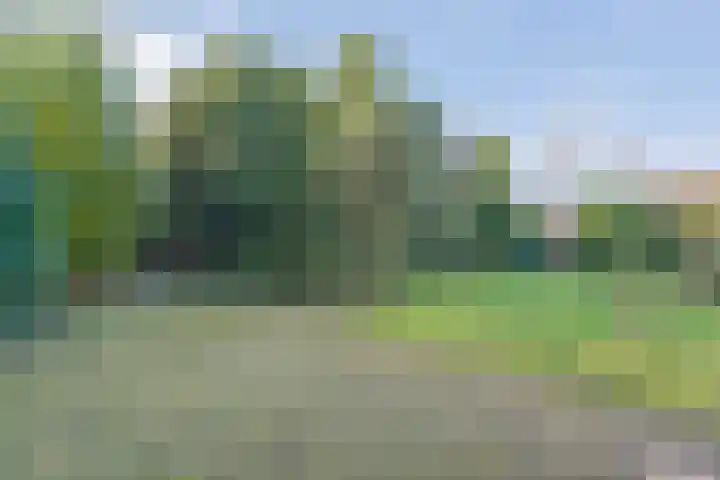 Wilgenkamp 46 Losser thumbnail 32