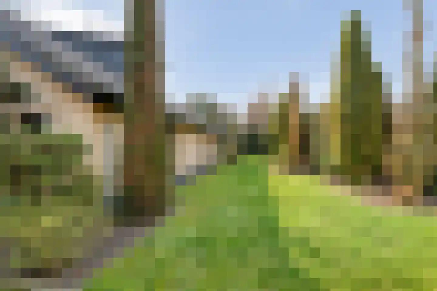 Wilgenkamp 46 Losser thumbnail 33