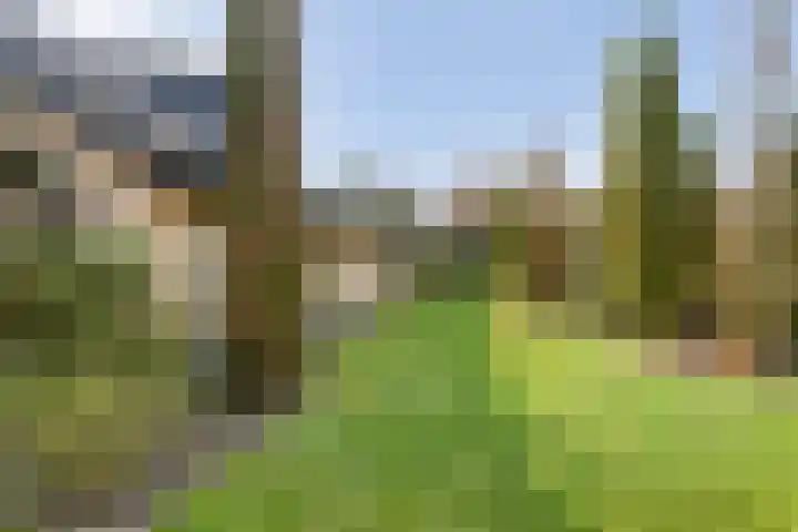 Wilgenkamp 46 Losser thumbnail 33