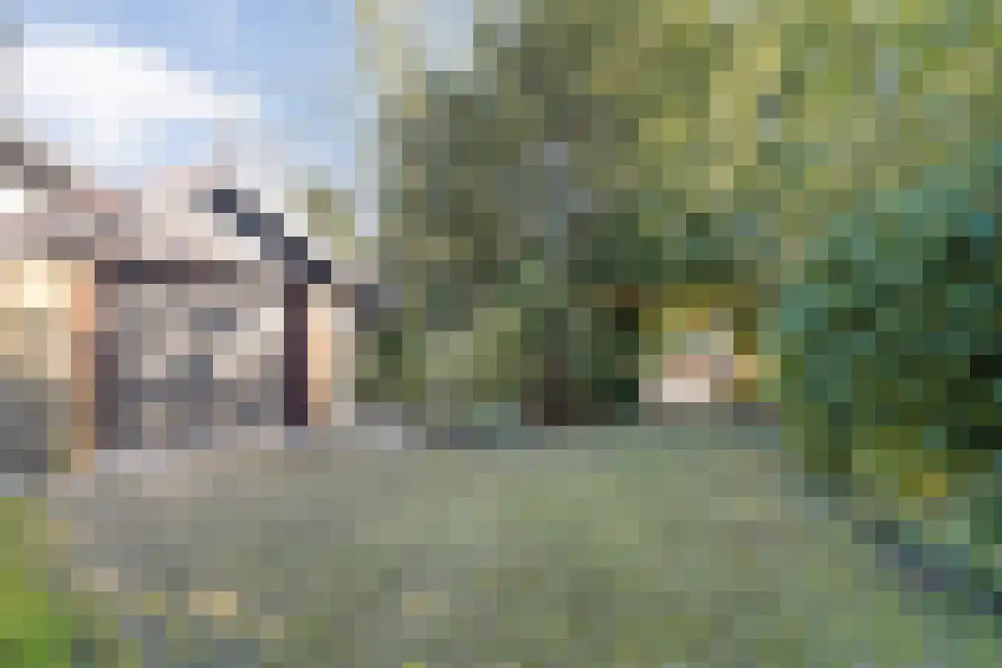 Wilgenkamp 46 Losser thumbnail 34