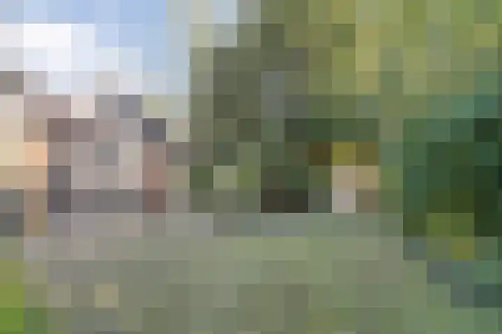 Wilgenkamp 46 Losser thumbnail 34