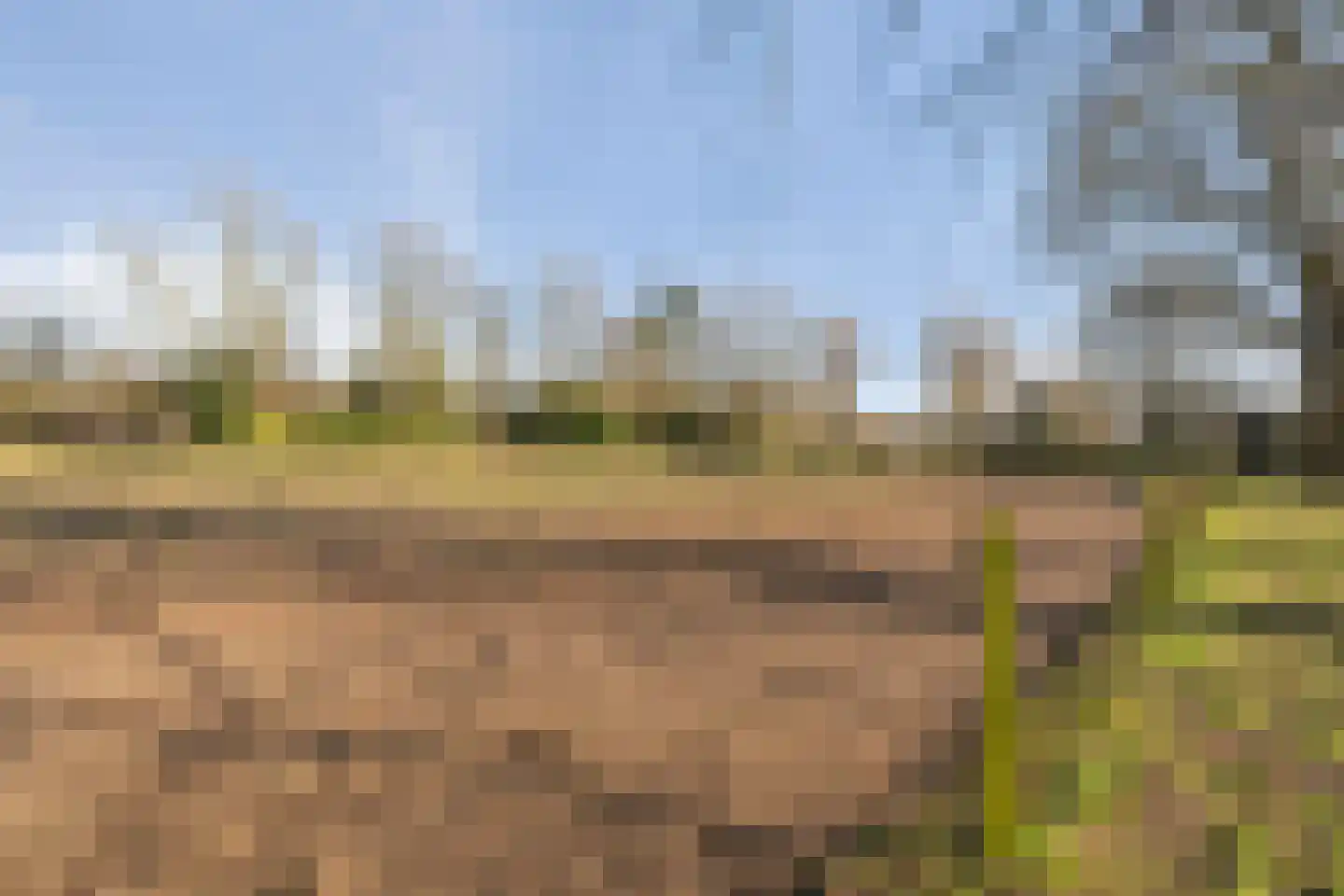 Wilgenkamp 46 Losser thumbnail 36