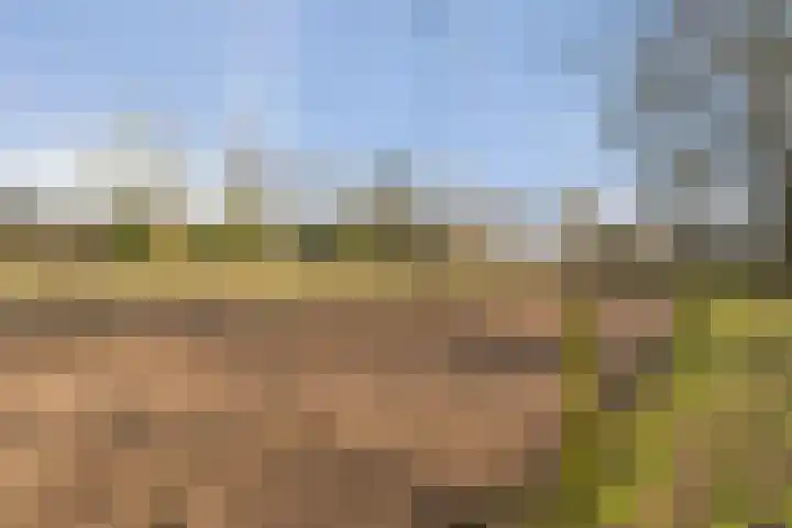 Wilgenkamp 46 Losser thumbnail 36