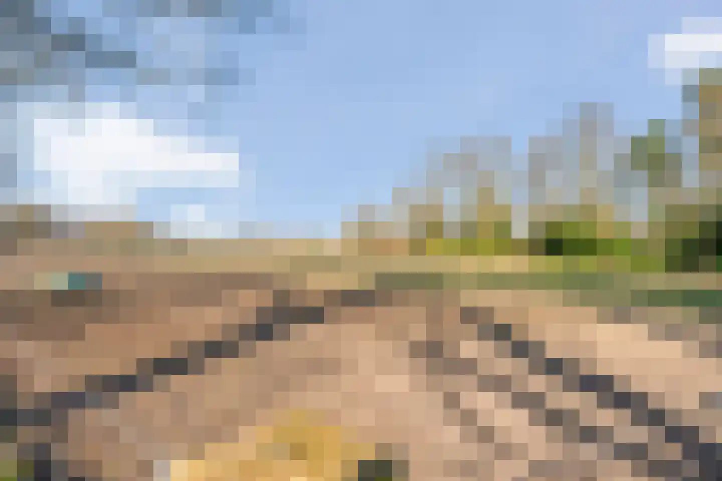 Wilgenkamp 46 Losser thumbnail 37