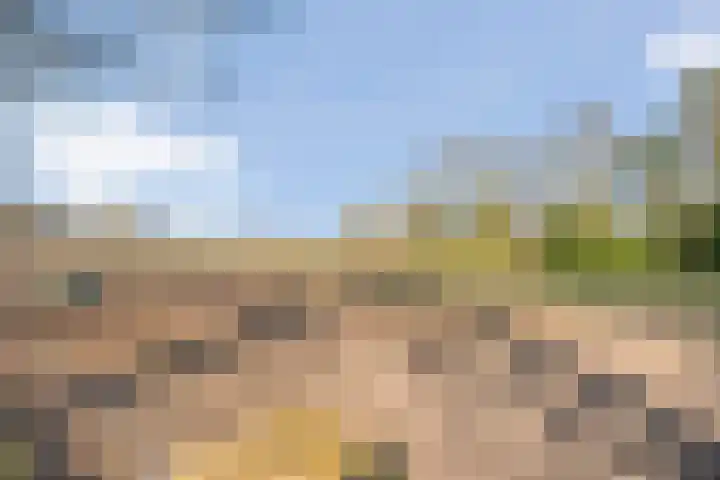 Wilgenkamp 46 Losser thumbnail 37