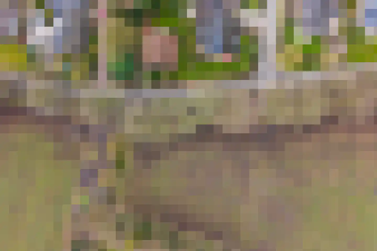Wilgenkamp 46 Losser thumbnail 38