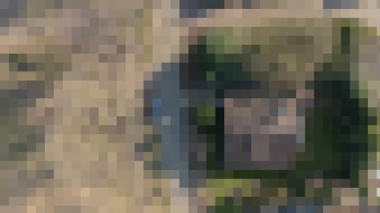 Wilgenkamp 46 Losser thumbnail 39