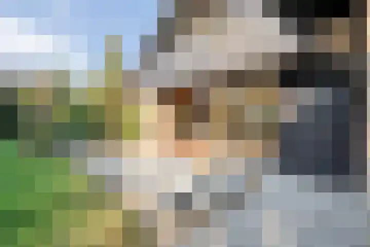 Wilgenkamp 46 Losser thumbnail 4
