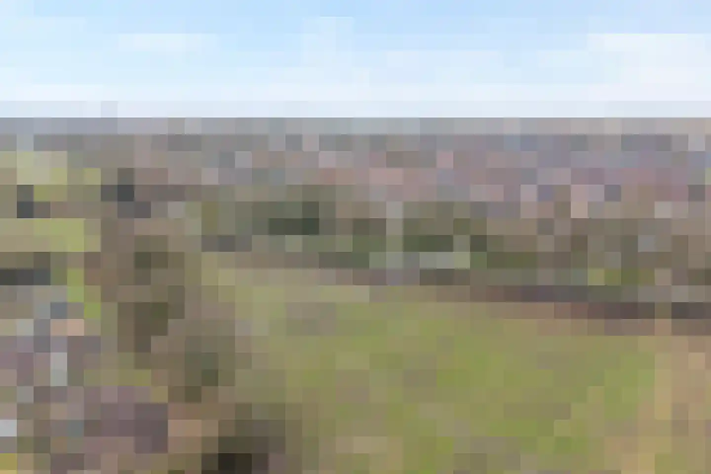 Wilgenkamp 46 Losser thumbnail 40