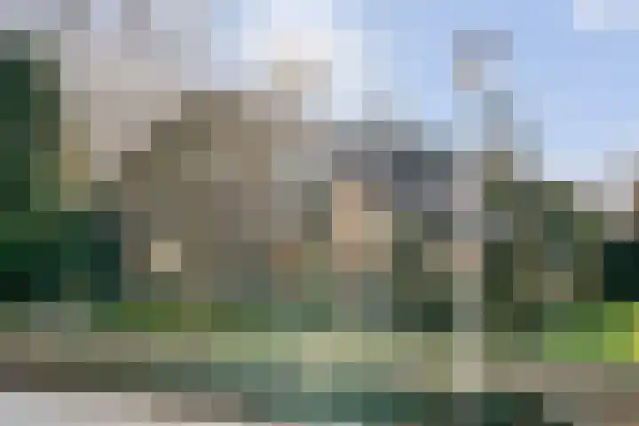 Wilgenkamp 46 Losser thumbnail 5