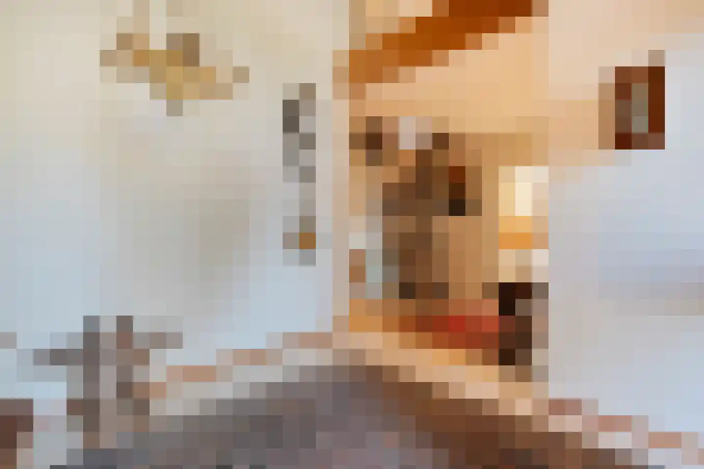 Wilgenkamp 46 Losser thumbnail 7