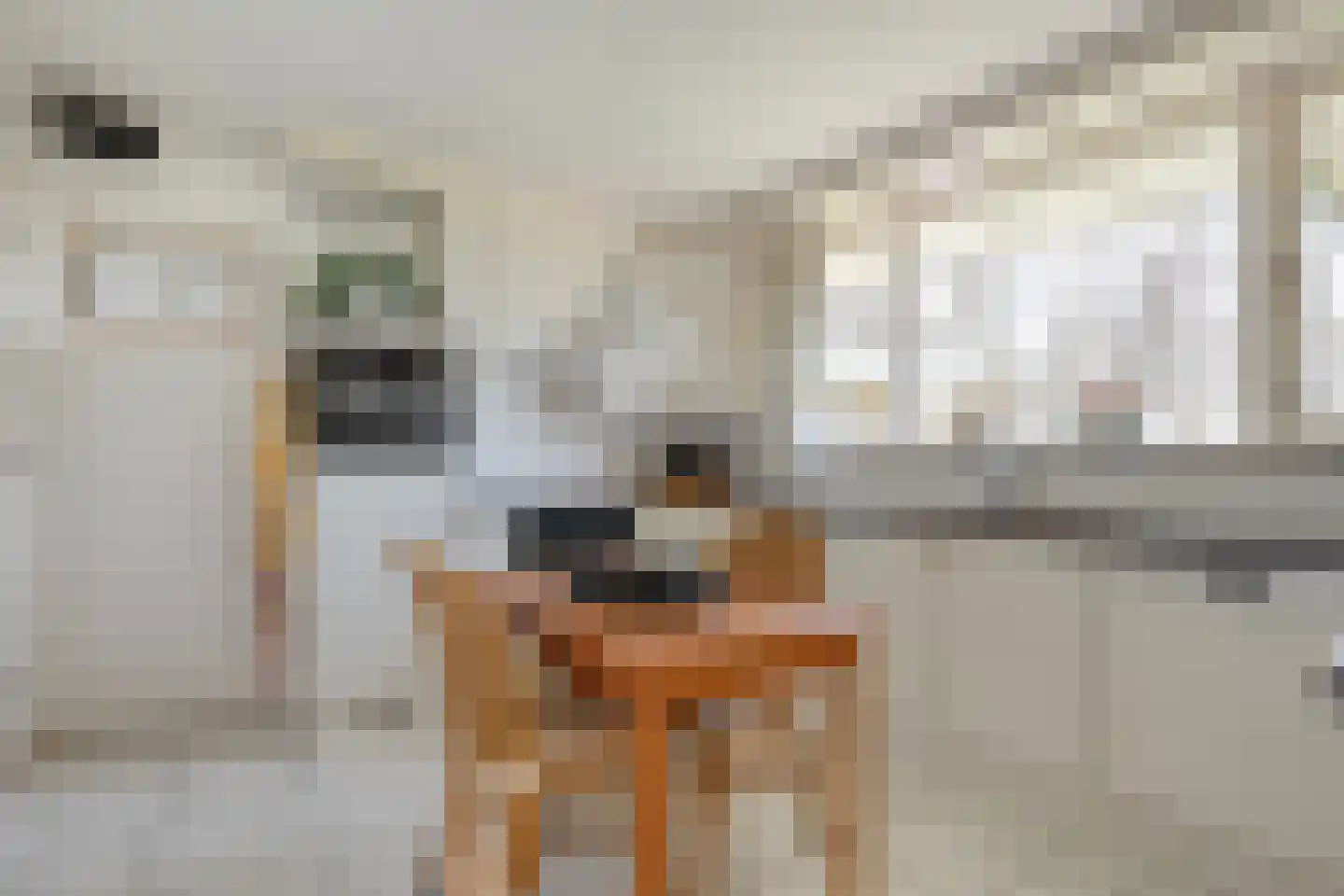 Wilgenkamp 5 Losser thumbnail 12