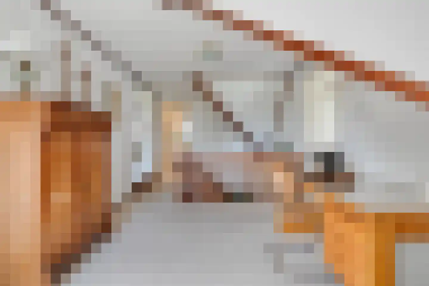 Wilgenkamp 5 Losser thumbnail 15