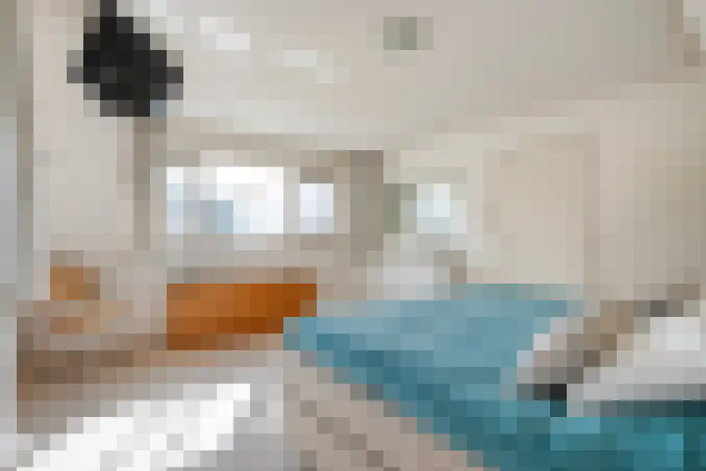 Wilgenkamp 5 Losser thumbnail 18