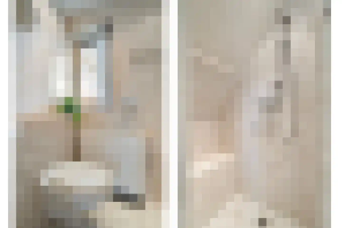 Wilgenkamp 5 Losser thumbnail 22