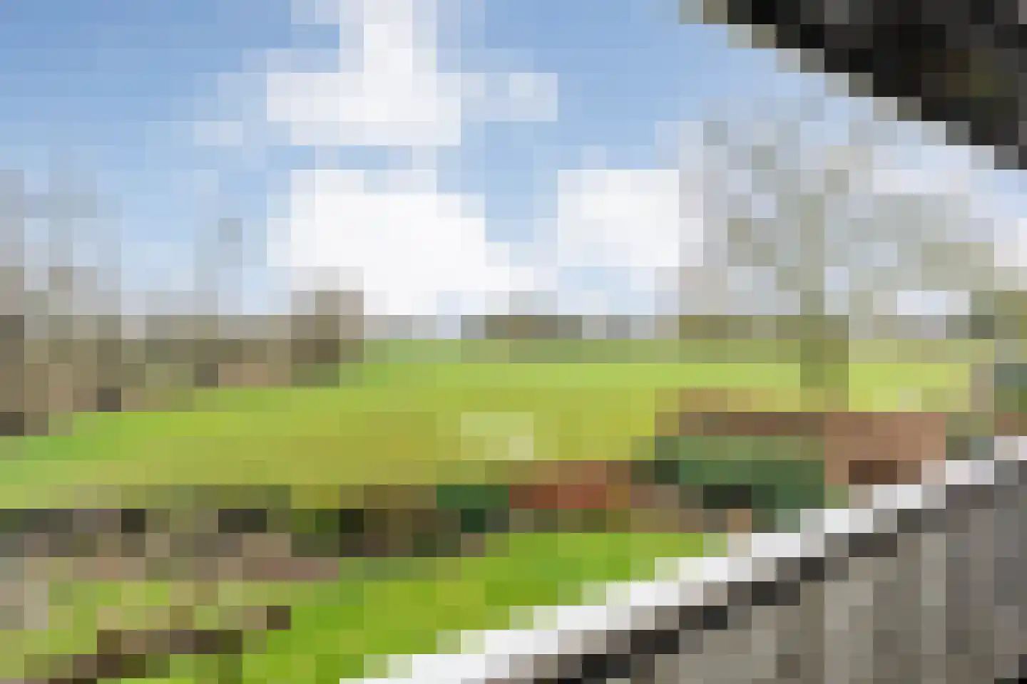 Wilgenkamp 5 Losser thumbnail 26