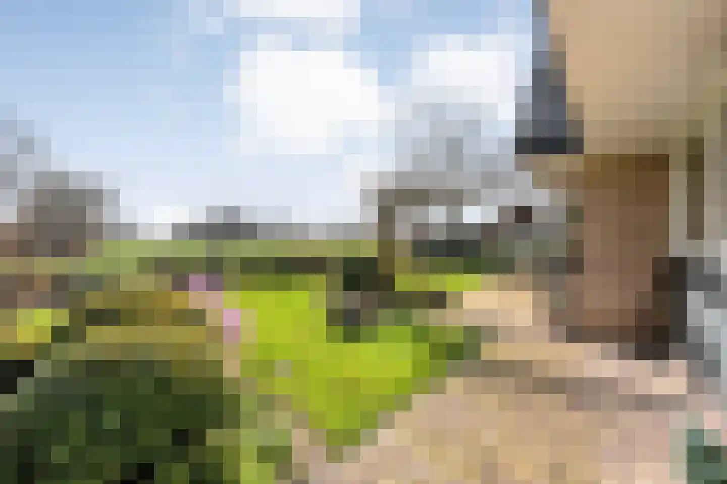 Wilgenkamp 5 Losser thumbnail 27