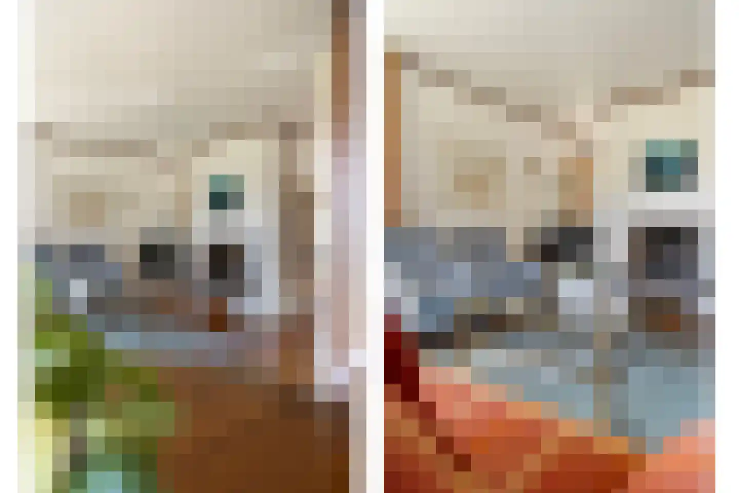 Wilgenkamp 5 Losser thumbnail 8