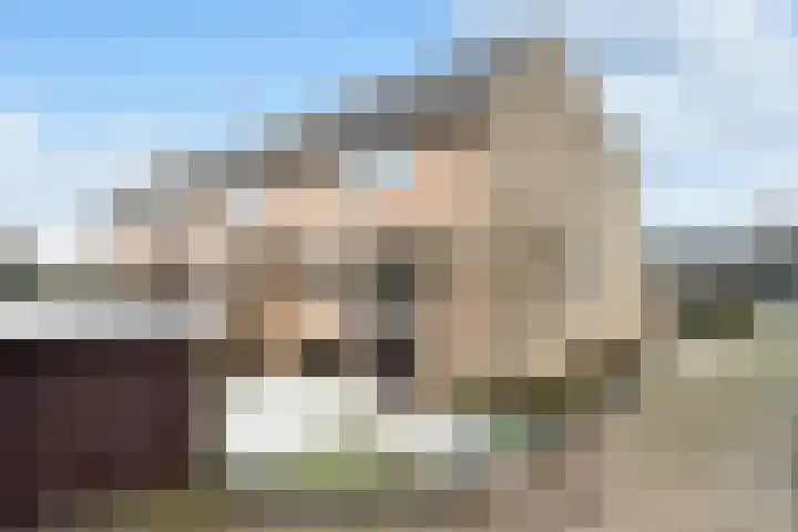 Wilgenlaan 1 Berkel en Rodenrijs
