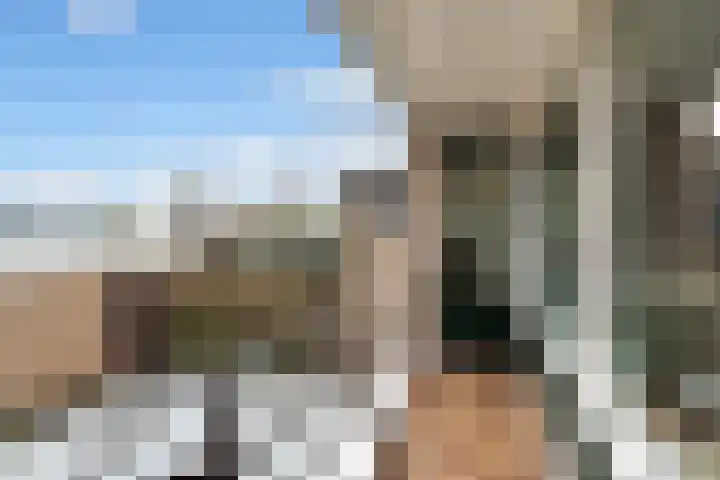 Wilgenlaan 1 Berkel en Rodenrijs thumbnail 18
