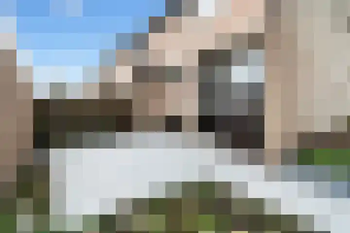 Wilgenlaan 1 Berkel en Rodenrijs thumbnail 21