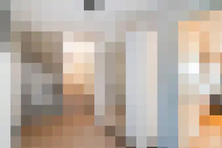 Wilgenlaan 1 Berkel en Rodenrijs thumbnail 30