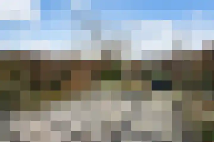 Wilgenlaan 1 Berkel en Rodenrijs thumbnail 4