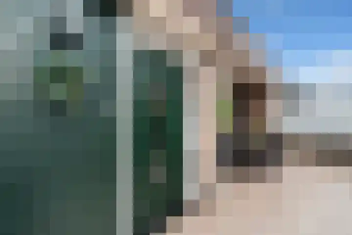 Wilgenlaan 1 Berkel en Rodenrijs thumbnail 7
