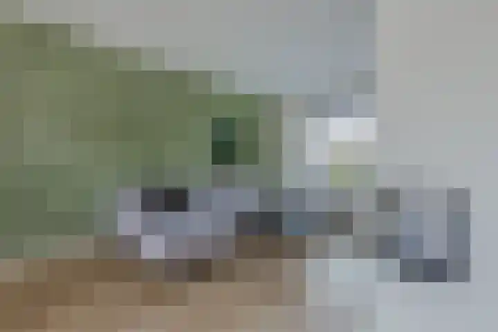 Wilgenlaan 1 Leimuiden thumbnail 11