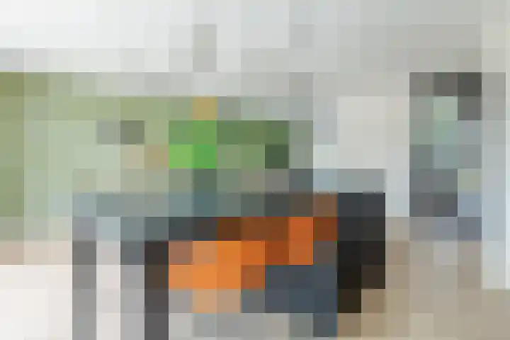 Wilgenlaan 1 Leimuiden thumbnail 17