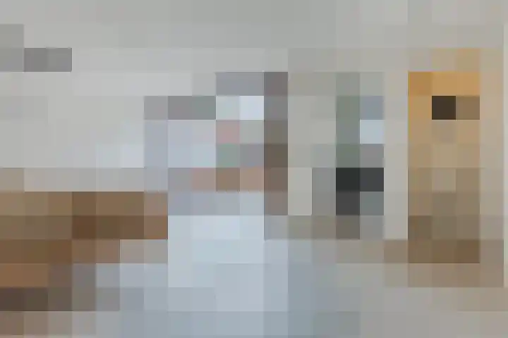 Wilgenlaan 1 Leimuiden thumbnail 25