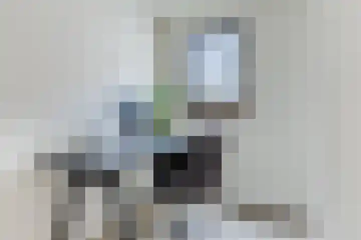 Wilgenlaan 1 Leimuiden thumbnail 26