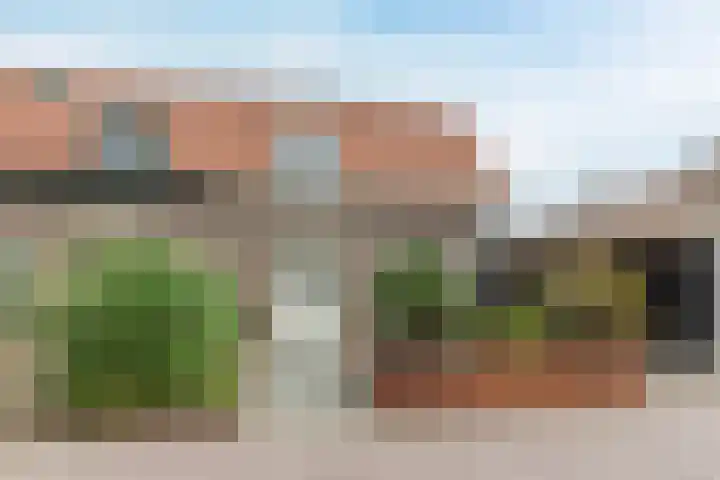 Wilgenlaan 1 Leimuiden thumbnail 4