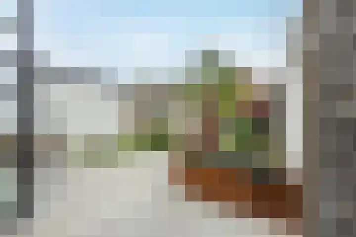 Wilgenlaan 1 Leimuiden thumbnail 50