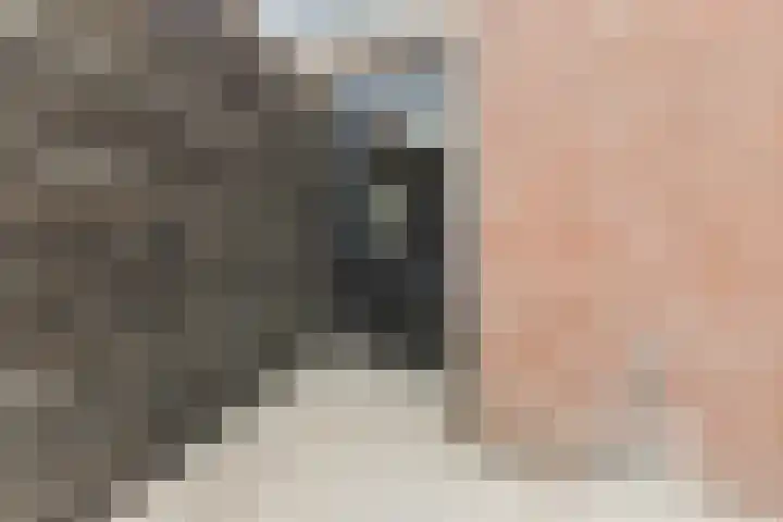 Wilgenlaan 1 Leimuiden thumbnail 53