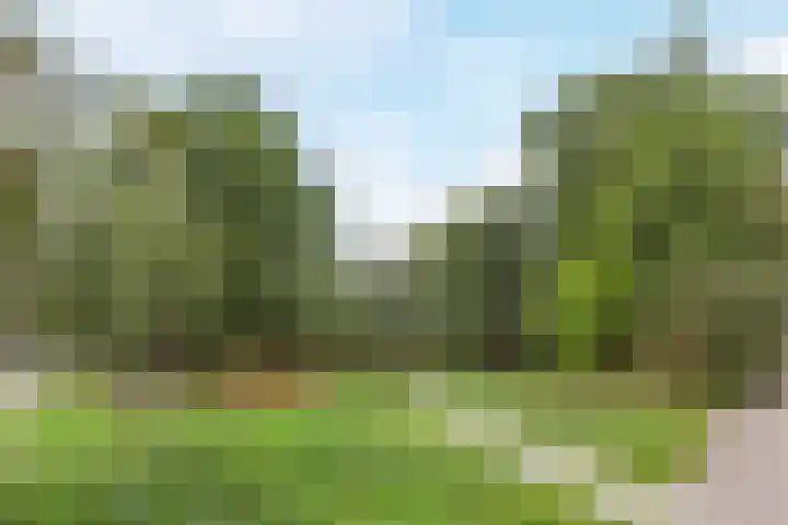 Wilgenlaan 1 Leimuiden thumbnail 57