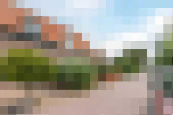 Wilgenlaan 1 Leimuiden thumbnail 6