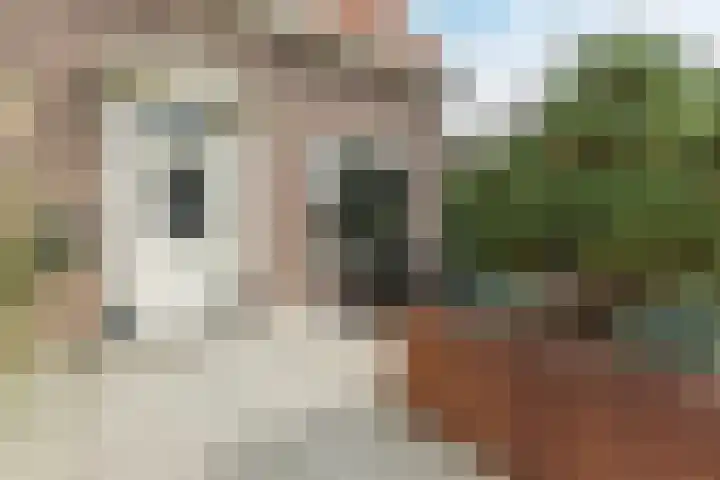 Wilgenlaan 1 Leimuiden thumbnail 7