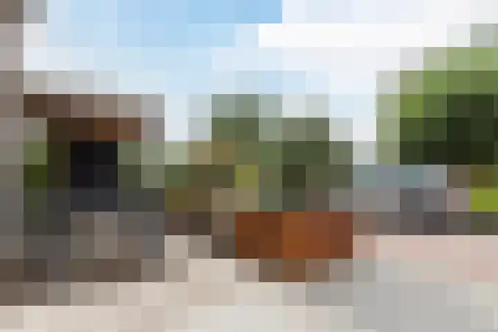 Wilgenlaan 1 Leimuiden thumbnail 8