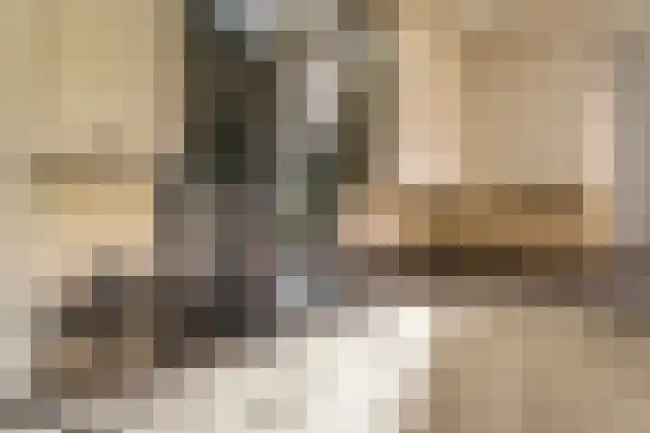 Wilgenlaan 1 Rijnsburg thumbnail 11