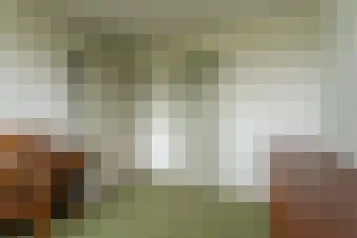 Wilgenlaan 1 Rijnsburg thumbnail 18