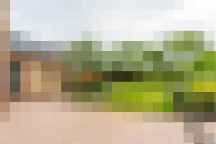 Wilgenlaan 1 Rijnsburg thumbnail 31